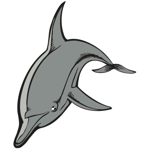 BAW DOLPHIN 03 RC Thumbnail