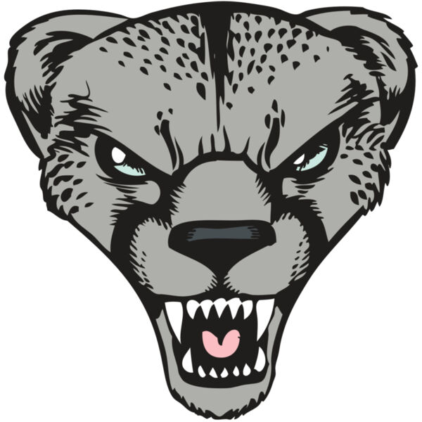 BAW CHEETAH 15 RC Thumbnail