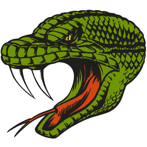 BAW SNAKE 14 RC Thumbnail