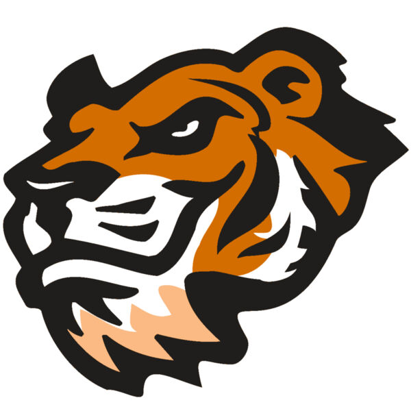 AR TIGER 21 RC Thumbnail