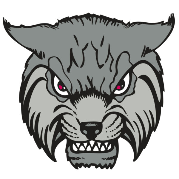 BAW BOBCAT 02 RC Thumbnail