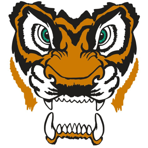 AR TIGER 11 RC Thumbnail