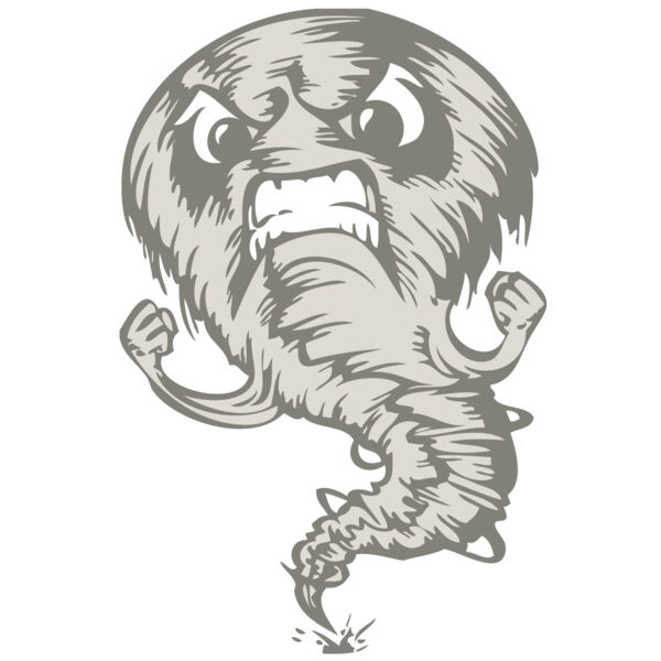 BAW STORM 07 RC Thumbnail