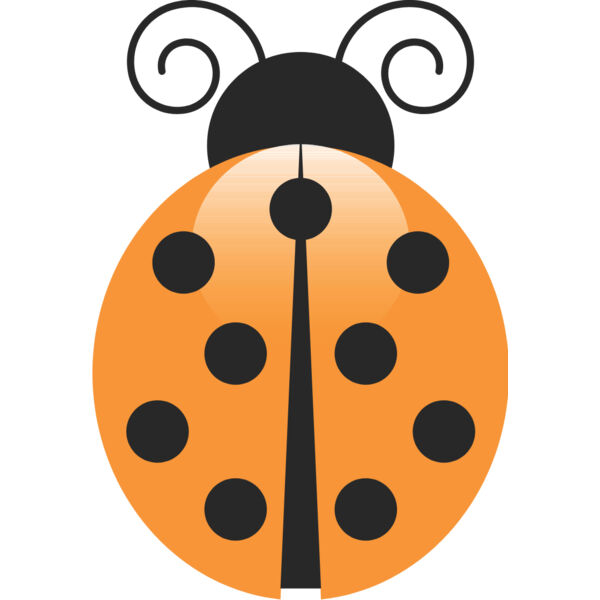 Orange Ladybug 1 Thumbnail
