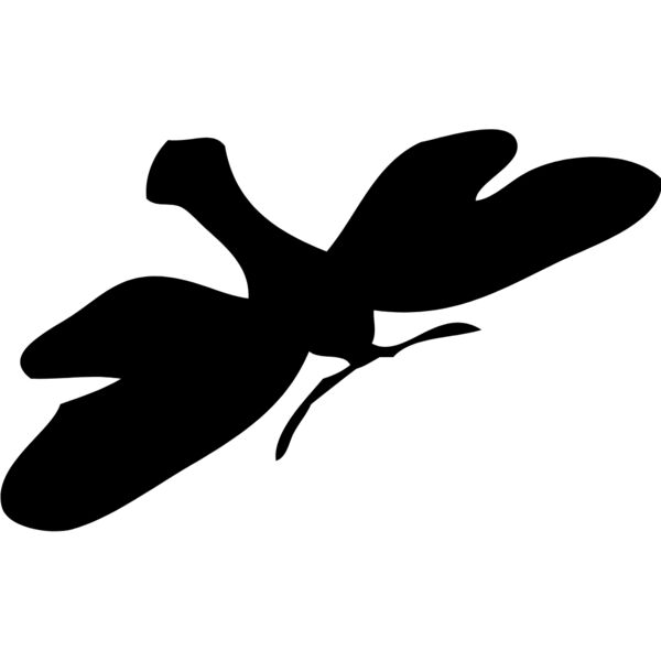 Moth Silhouette 7 Thumbnail