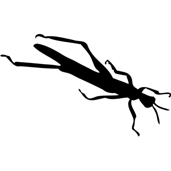 Bug Silhouette 6 Thumbnail