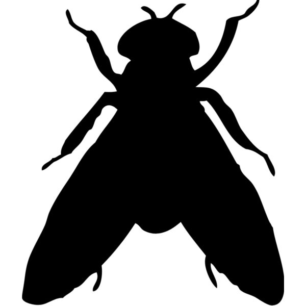 Fly Silhouette 6 Thumbnail