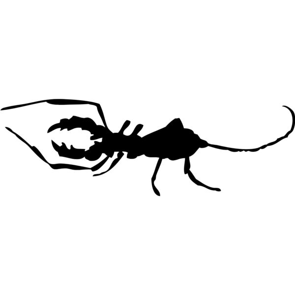 Bug SIlhouette 20 Thumbnail