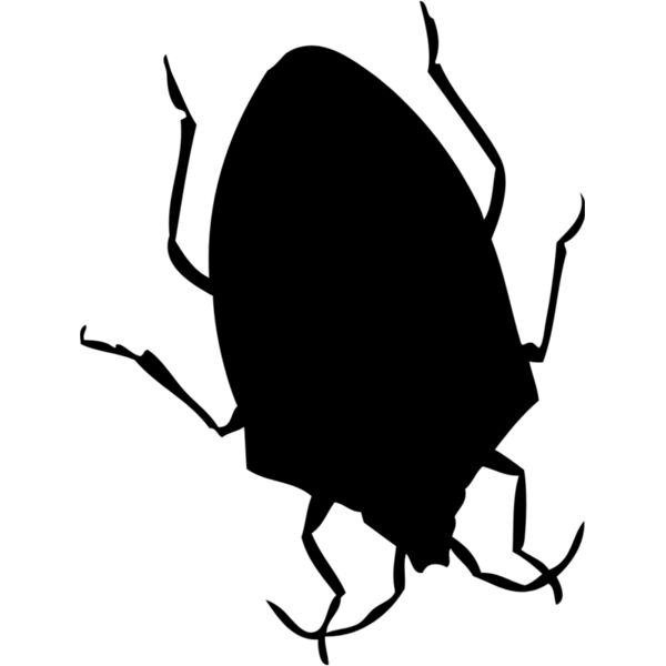 Bed Bug Silhouette 2 Thumbnail