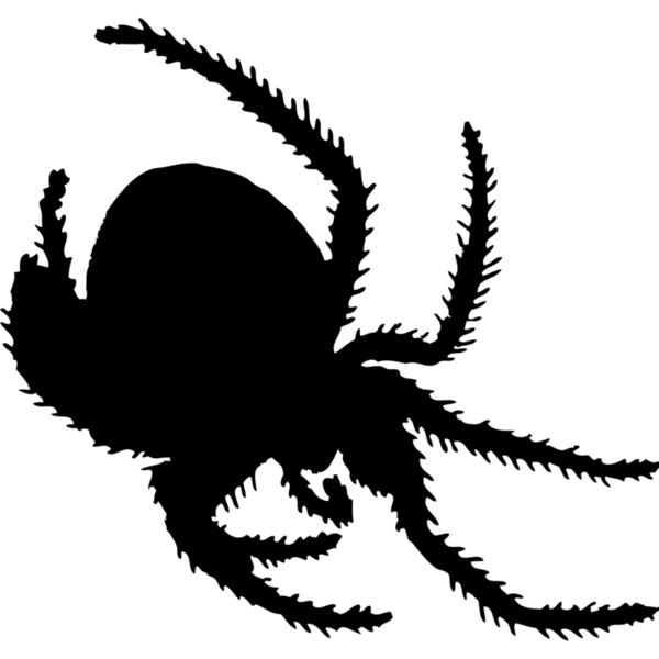 Spider Silhouette 12 Thumbnail