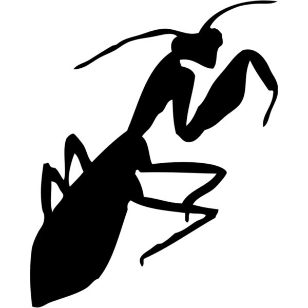 Mantis Silhouette 2 Thumbnail