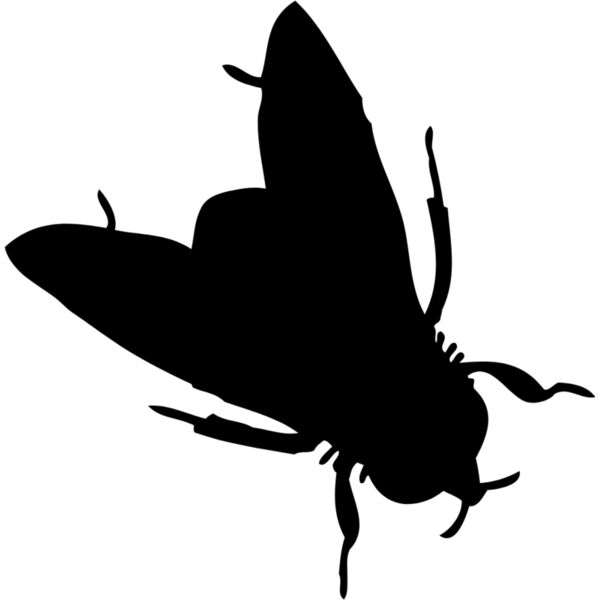 Fly Silhouette 8 Thumbnail