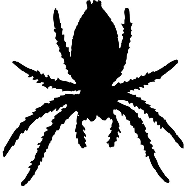 Spider Silhouette 21 Thumbnail