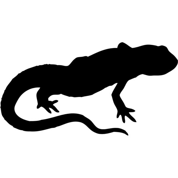 Lizard Silhouette 13 Thumbnail
