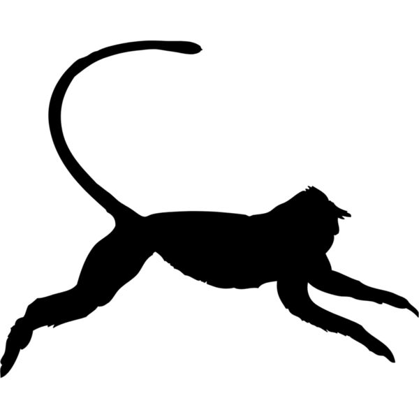 Monkey Silhouette 12 Thumbnail