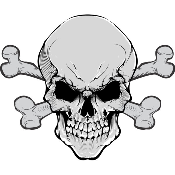 Skull Crossbones 1 Thumbnail