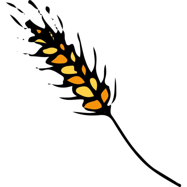 Autumn Fall Wheat Grain 2 Thumbnail