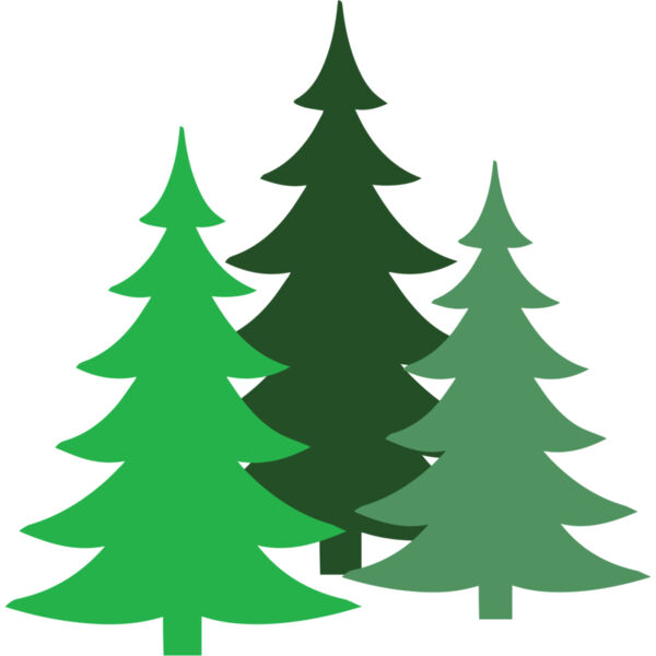 Christmas Tree Forest 1 Thumbnail