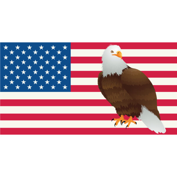 USA America Flag Bald Eagle 3 Thumbnail